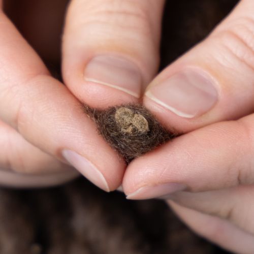 tételeket Pihe-puha Mirabell gyapjúzsinór, barna, 25 m-es díszszalag virágkötészethez és kézműveskedéshez