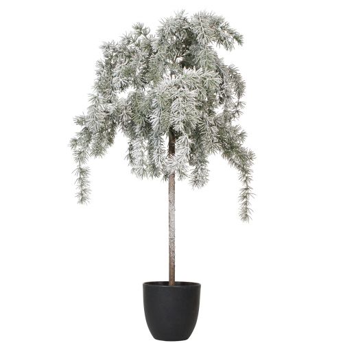 Floristik24 Mini cédrus karácsonyfa műtél H95cm