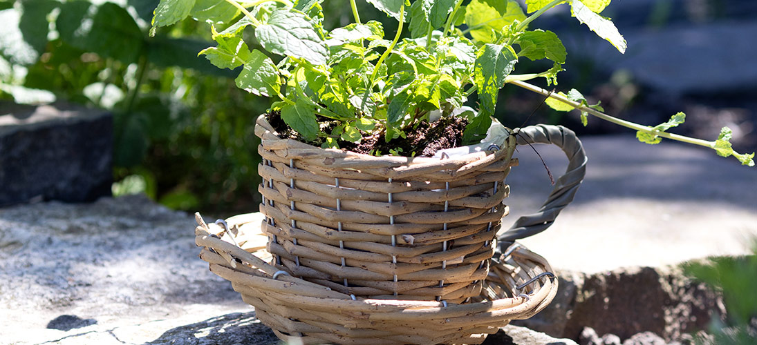 Kosár és Ültetőgépek