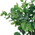 Floristik24 Mesterséges eukaliptusz ágak műnövények zöld 34cm 6db