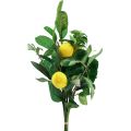 Floristik24 Dekoratív ágak Mediterrán dekoratív citrom mesterséges 50cm