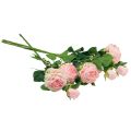 Floristik24 Artificial Roses Pink Artificial Roses Dry Look 53cm 3db
