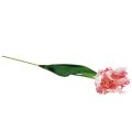 Floristik24 Művirág papagáj tulipán műtulipán rózsaszín 69cm