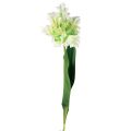 Floristik24 Művirág papagáj tulipán műtulipán zöld fehér 69cm