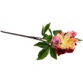 Floristik24 Pünkösdi rózsa Selyemvirágok Művirágok Pink Pink 68cm