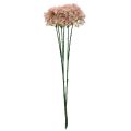 Floristik24 Díszvirág Wild Allium műrózsaszín 70cm 3db