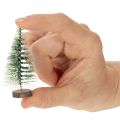 Műfenyők asztaldíszként karácsonyra, hófödte, 6 cm, 12 darab | Floristik24.hu