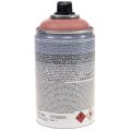 Floristik24 Üvegfesték spray hatású spray spray üveg korall matt 250ml