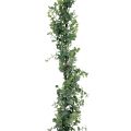 Floristik24 Mesterséges eukaliptusz füzér dekoratív füzér zöld 150cm