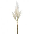 Floristik24 Pampa fű fehér krémszínű műszáraz fű dekoráció 82cm