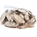 Floristik24 Nyírfa szeletek ovális nyírfa szeletek 4-9cm 450g