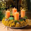 Achillea 500g natúr | Floristik24.hu