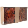 Achillea Orange szárított