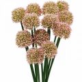 Floristik24 Művirág allium rózsaszín 38cm műdíszhagyma selyemvirág csokorban 12db