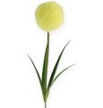 Floristik24 Allium sárga 68cm