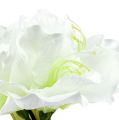 Floristik24 Amarillisz virág fehér L 73cm 2db