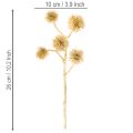Mesterséges Borostyánszínű Gyümölcság, Arany Díszítéssel, 26 cm, 6 Darabos Csomag | Floristik24.hu