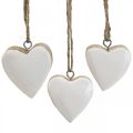 Floristik24 Függesztett fa szívek dekoratív szívek fehér Ø5-5,5cm 12db