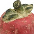 Floristik24 Dekoratív alma, őszi, asztaldísz, beton H17cm Ø15cm