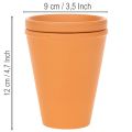 Aquasafe víztározó rovaritatóval kertbe, erkélyre, teraszra, 12 cm, 3 darab | Floristik24.hu