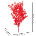 Szárított spárgacsokor virágdíszekhez 65cm 80g | Floristik24.hu