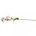 Floristik24 Nagy Masterwort Artificial Astrania selyemvirág fehér rózsaszín L61cm