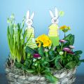 Floristik24 Húsvéti nyusziállvány zöld nyuszifa húsvéti dekoráció 4db