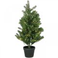 Floristik24 Mesterséges karácsonyfa cserépben LED kültéri 90cm