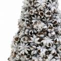 Floristik24 Dekoratív karácsonyfa csillagánizs fehér mosott csillám 30cm