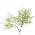 Műfenyő finom levelekkel, 120 cm | Floristik24.hu