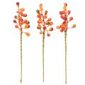 Narancssárga bogyós gyümölcsök csokor, 20 cm hosszú | Floristik24.hu