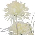 Floristik24 Művirág gömbvirág allium díszhagyma műfehér 90cm