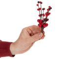 Műág piros bogyókkal, 15 cm, 6 darab | Floristik24.hu