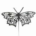 Floristik24 Virágdugó fém pillangó fekete 10,5×8/44cm 3db