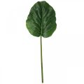 Floristik24 Mesterséges zöld növény Bergenia zöld mesterséges növény 53cm