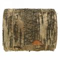 Floristik24 Nyírfa kéreg tekercs barna, szürke kéreg kézműveshez 15×300cm