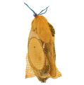 Floristik24 Nyírfa korongok ovális natúr fa korongok deco 18-22cm 10db