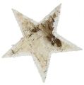 Floristik24 Nyírfa csillagok natúr hókészítő 9cm 15db