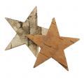 Floristik24 Nyírfa csillagok 5cm természet 60p