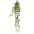 Floristik24 Függő zöld növényi műlevél akasztó 5 szál 58cm