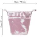 Bádogvödör, lila és fehérre meszelt, Ø19cm M17cm, 1 db. | Floristik24.hu