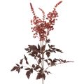 Floristik24 Művirág Astilbe hosszú szárú pompa 80cm