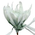 Floristik24 Virágághab fehér, zöld 72cm
