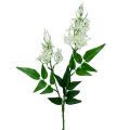 Floristik24 Virágág fehér 78cm 3db