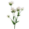 Floristik24 Virágág fehér L70cm