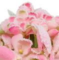Floristik24 Hortenzia rózsaszín havas 33cm 4db