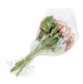 Floristik24 Hortenzia rózsaszín havas 33cm 4db