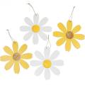 Floristik24 Fa virágok, nyári dekoráció, százszorszép sárga és fehér, dekorációs virágok függesztéshez 4db