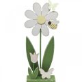 Floristik24 Virág rakható, tavaszi dekoráció pillangókkal H36,5cm