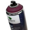 Floristik24 OASIS® Easy Color Spray, festék spray Erika 400ml